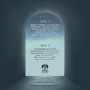 Various - Vacation From My Mind | Forager Records (FOR- LP006)