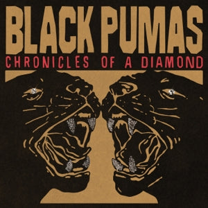 Black Pumas - Chronicles Of A Diamond Clear (Vinyl Edition)