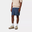 Carhartt WIP Chase Swim Trunks (Dusky Blue/Gold)