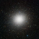 Andrea Laszlo De Simone - Immensità (12" Vinyl)