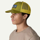 Patagonia P-6 Logo Trucker Hat (Graze Green)