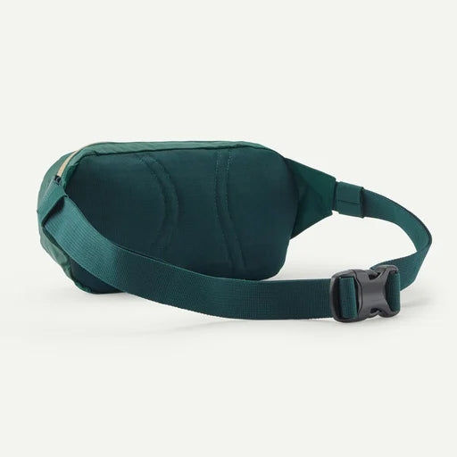 Patagonia Terravia Mini Hip Pack (Cascade Green)