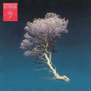 AKA5HA - Rifiorirai (12" Vinyl)