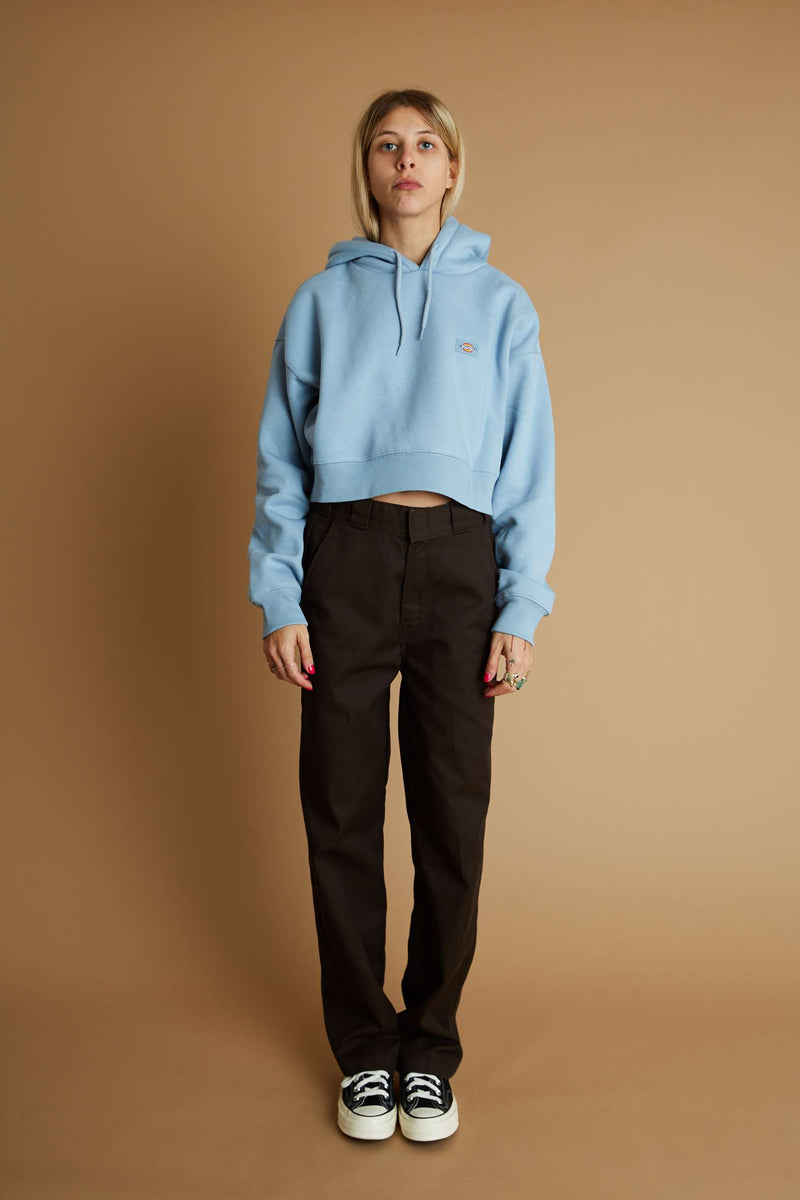 Dickies Elizaville Rec (Dark Brown)