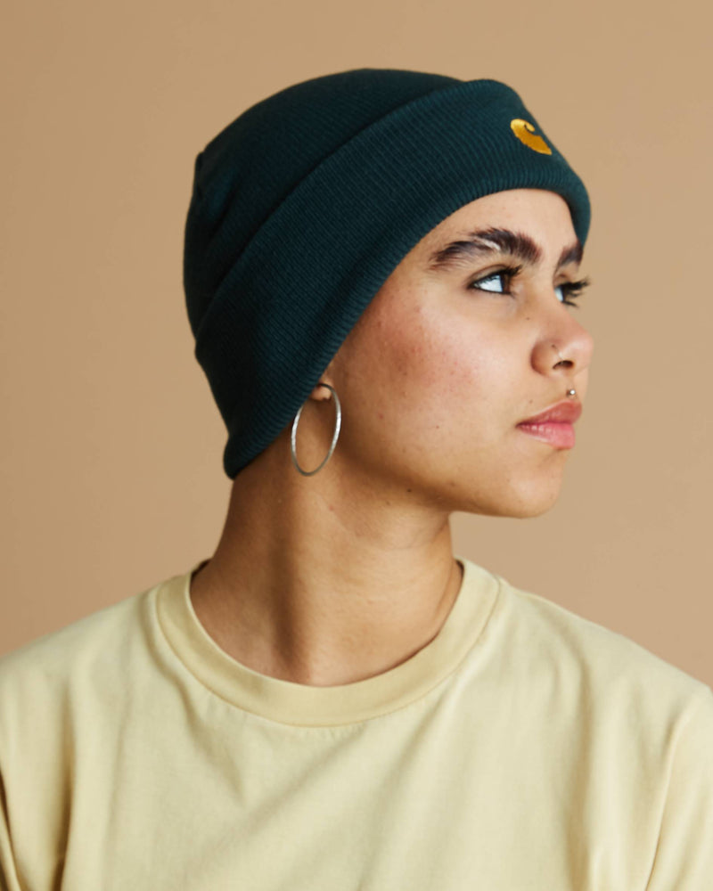 Carhartt Chase Beanie (Juniper / Gold)