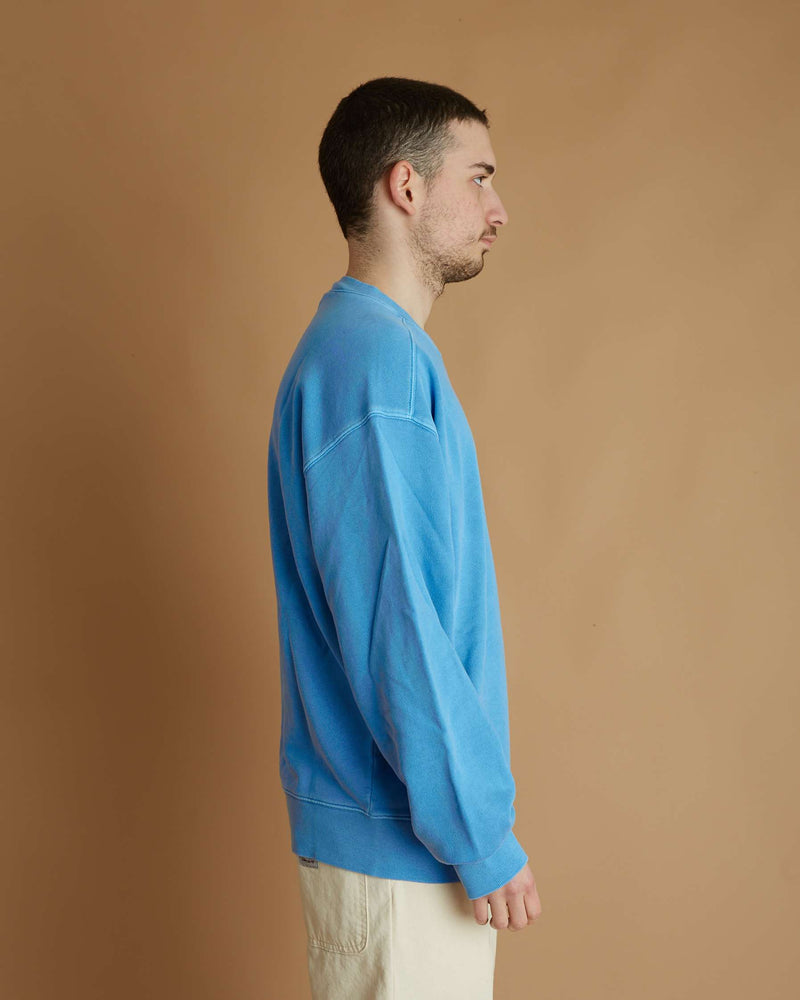Carhartt Nelson Sweat (Piscine Garment Dyed)