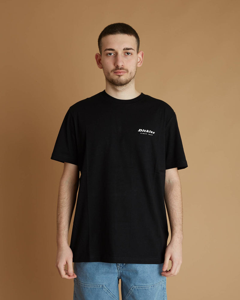 Dickies Leesburg Box Tee Ss (Black)
