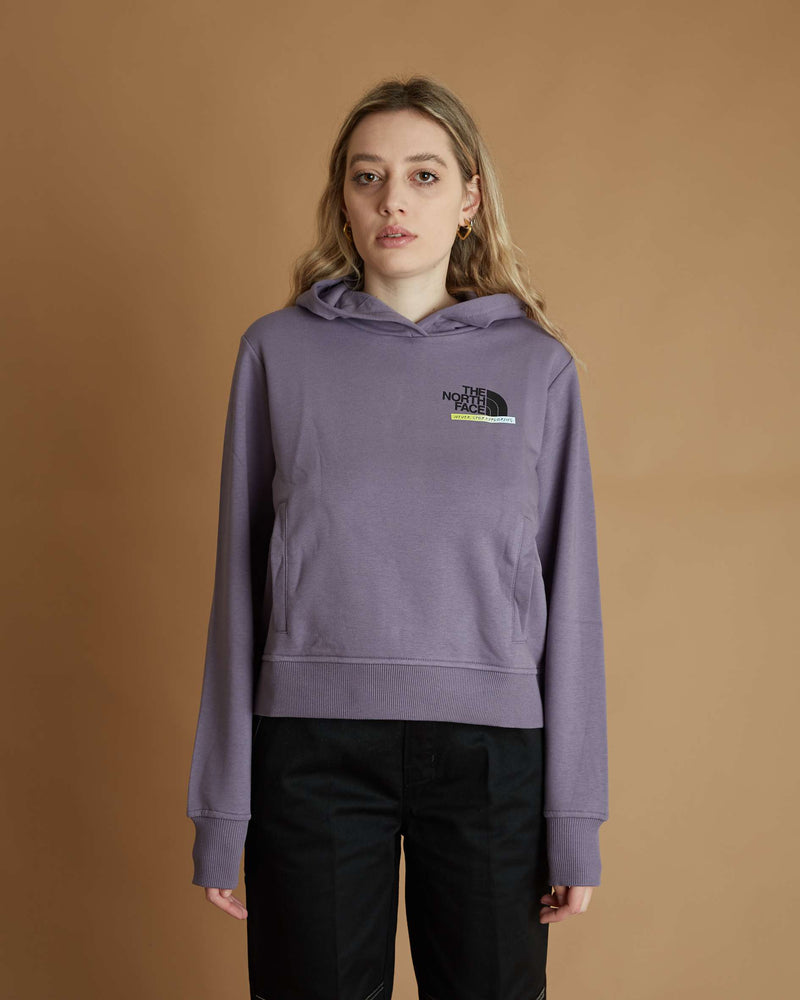 The North Face W Es Graphic Crop Hoodie (Lunar Slate)