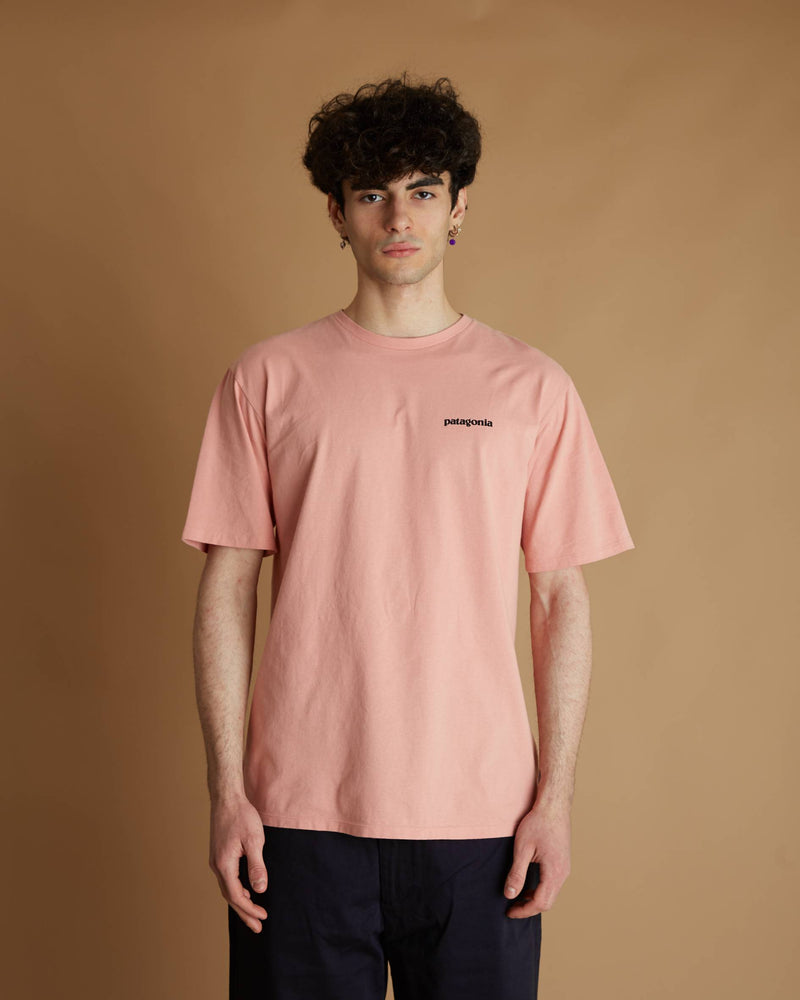 Patagonia P-6 Mission Organic T-Shirt (Sfpi)