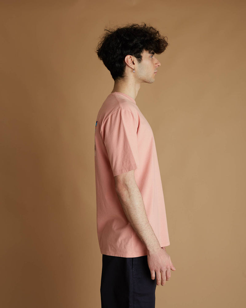 Patagonia P-6 Mission Organic T-Shirt (Sfpi)