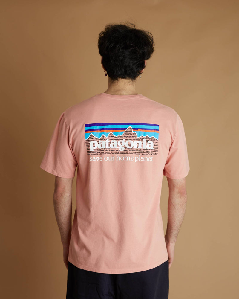 Patagonia P-6 Mission Organic T-Shirt (Sfpi)