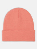 Dickies Gibsland Beanie (Flamingo Plume)