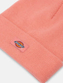 Dickies Gibsland Beanie (Flamingo Plume)