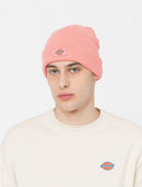 Dickies Gibsland Beanie (Flamingo Plume)