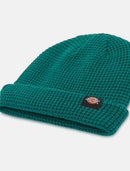 Dickies Woodworth Beanie (Aventurine)
