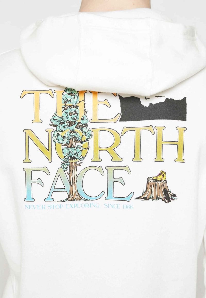 The North Face Seasonal Graphic Hoodie (Grdnwht/Brdyb)