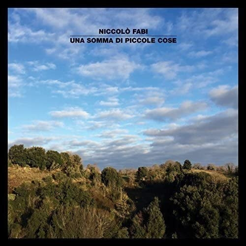 Niccolo' Fabi - Una Somma Di Piccole Cose (12" Vinyl)