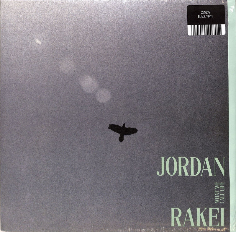 Jordan Rakei - What We Call Life (LP+MP3+Poster) | Ninja Tune (ZEN276)